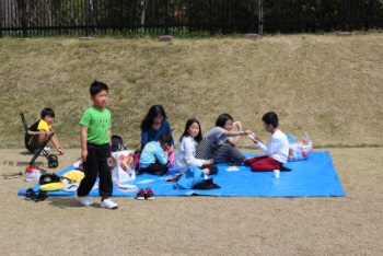 ブルーシート広げてみた